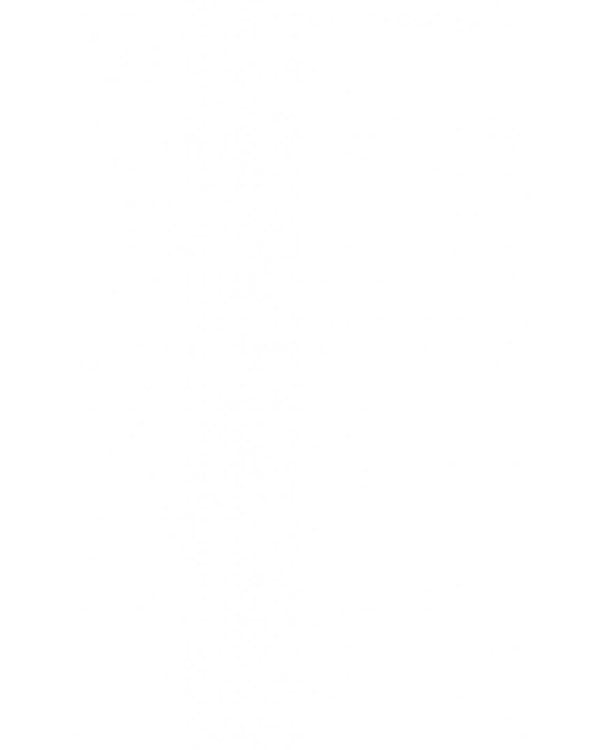 Вычислительная машина и мозг