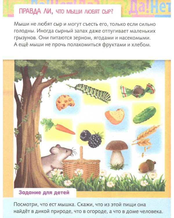 От чего и почему? Правда ли что..?