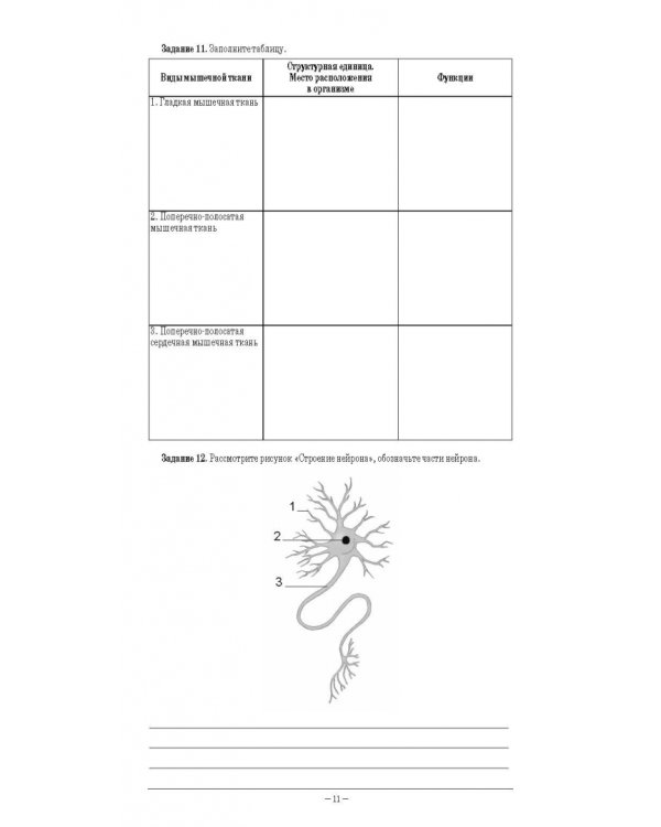 Анатомия и физиология человека. Рабочая тетрадь для внеаудиторной работы. Учебное пособие