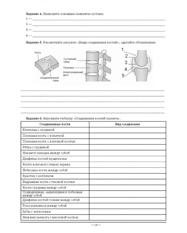 Анатомия и физиология человека. Рабочая тетрадь для внеаудиторной работы. Учебное пособие