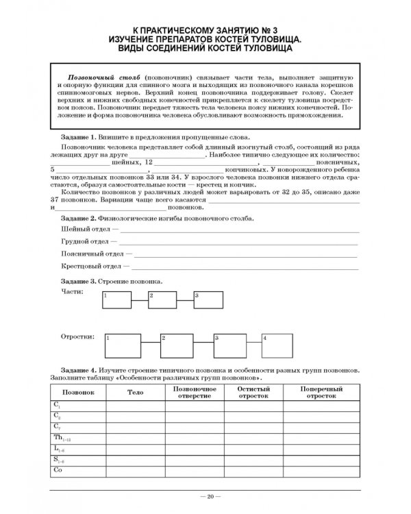 Анатомия и физиология человека. Рабочая тетрадь для внеаудиторной работы. Учебное пособие