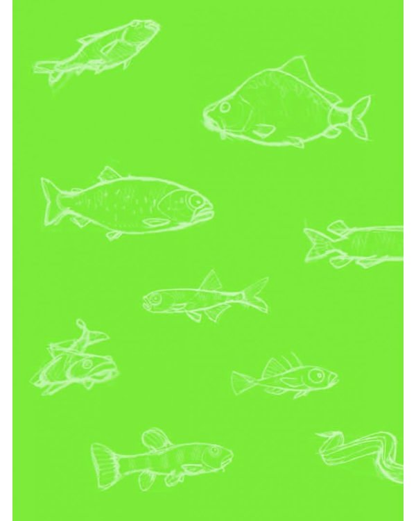 Маленький Водяной и его новые приключения