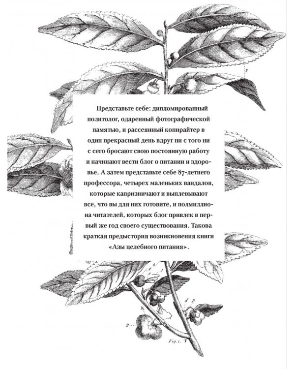 Как полюбить здоровую еду? Секреты скандинавов, которые помогут сделать полезную пищу любимым лак.