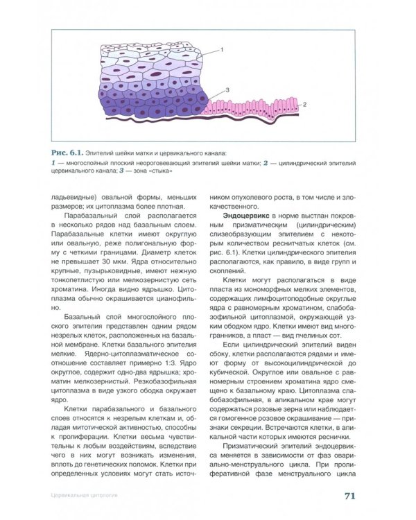 Клиническая цитология. Практическое руководство