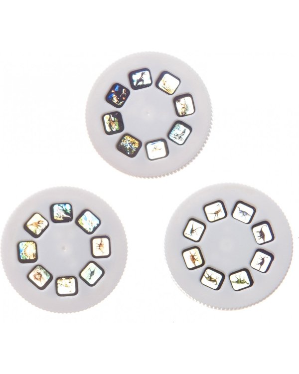 Диапроектор-фонарик. Динозавры