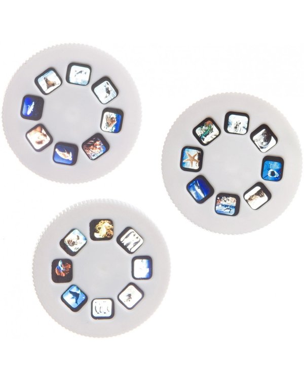 Диапроектор-фонарик. Животные