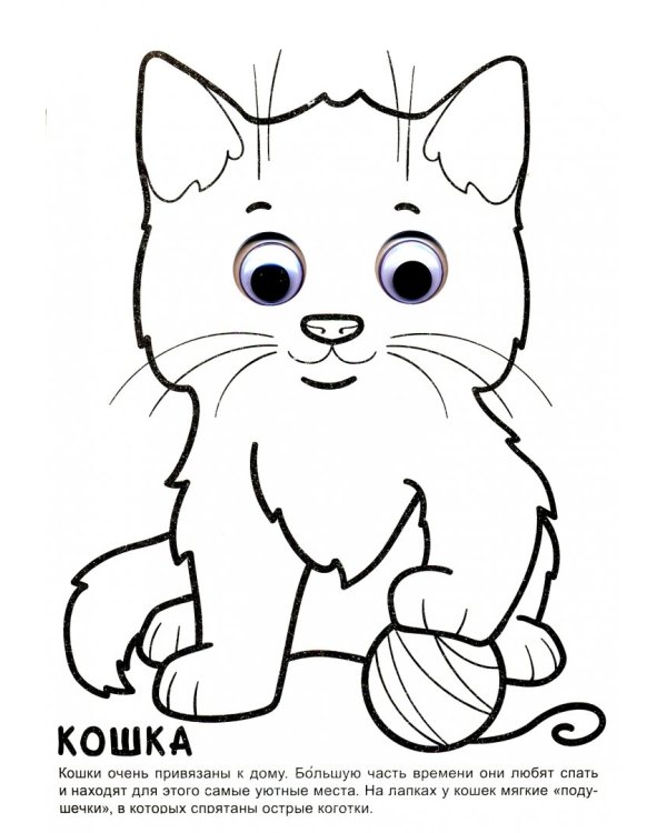 Раскраска А4. Домашние любимцы