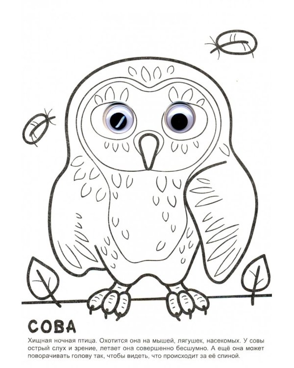 Раскраска А4. Лесная прогулка