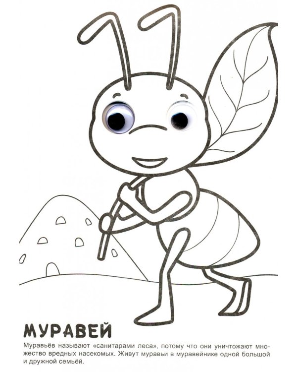 Раскраска А4. Про букашек