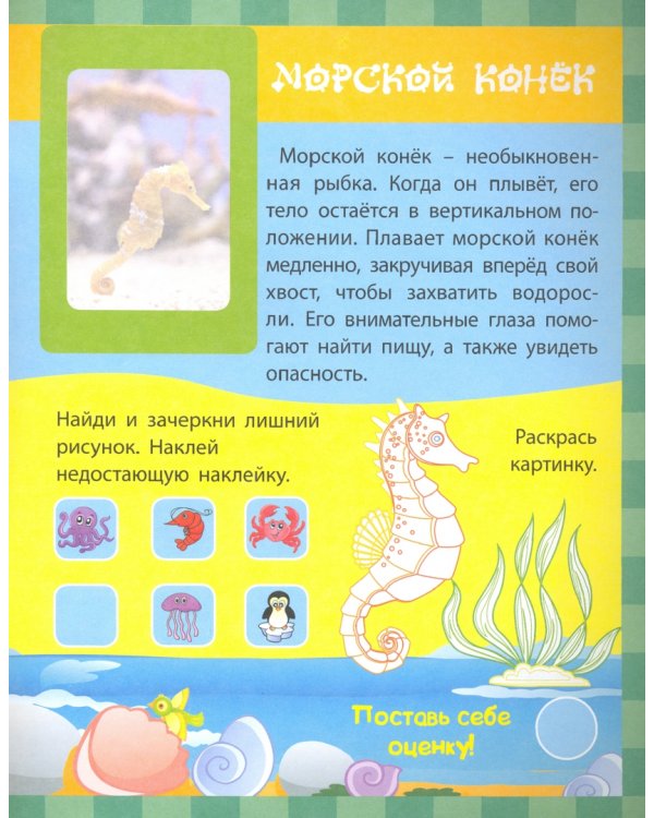 Морские жители. Сборник развивающих заданий с наклейками. Загадки, пословицы, скороговорки