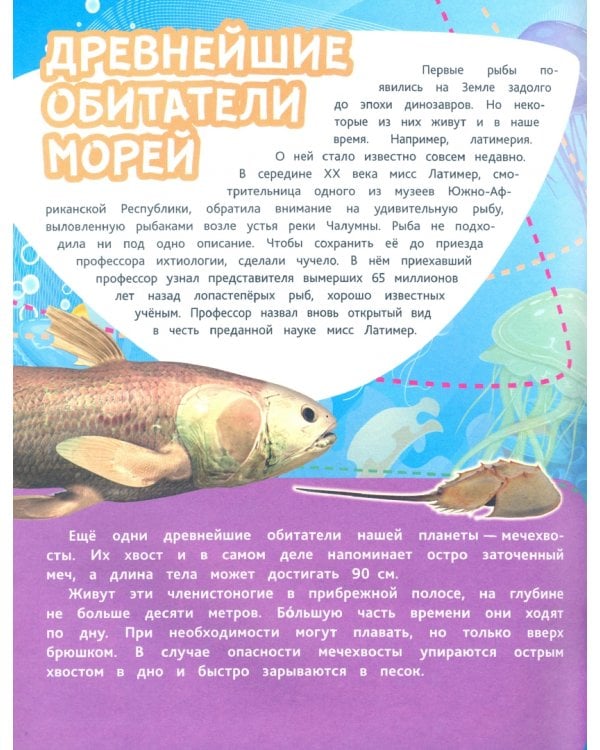 Подводные тайны. Удивительные жители морей, основы водной жизни, загадки океанских глубин