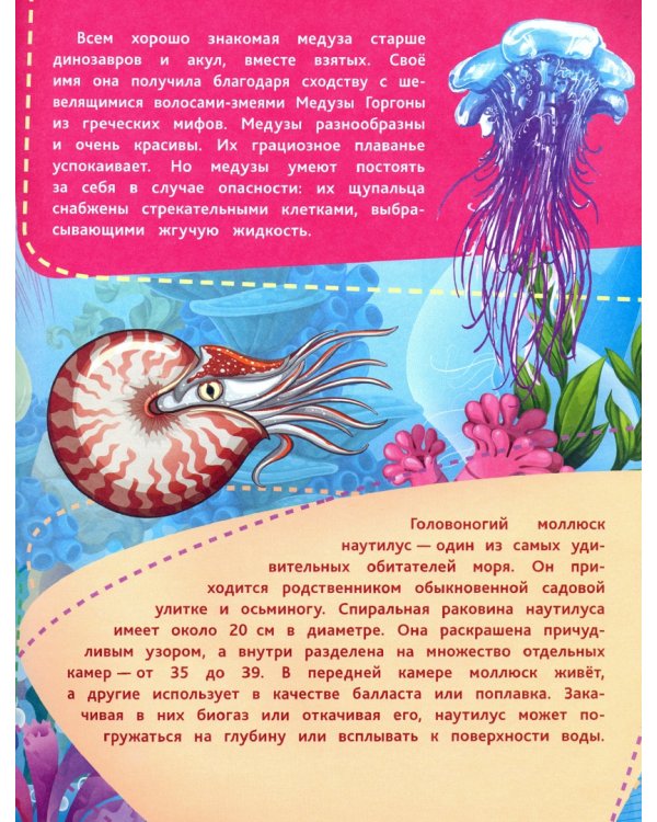 Подводные тайны. Удивительные жители морей, основы водной жизни, загадки океанских глубин