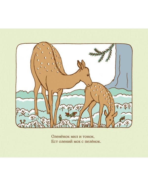 Две веселых строчки для сына и для дочки. Природа