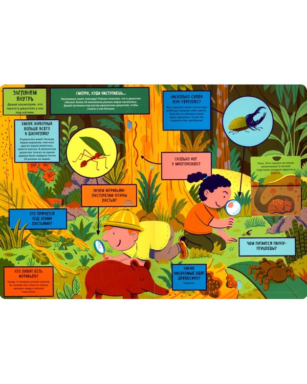 Джунгли (с окошками)