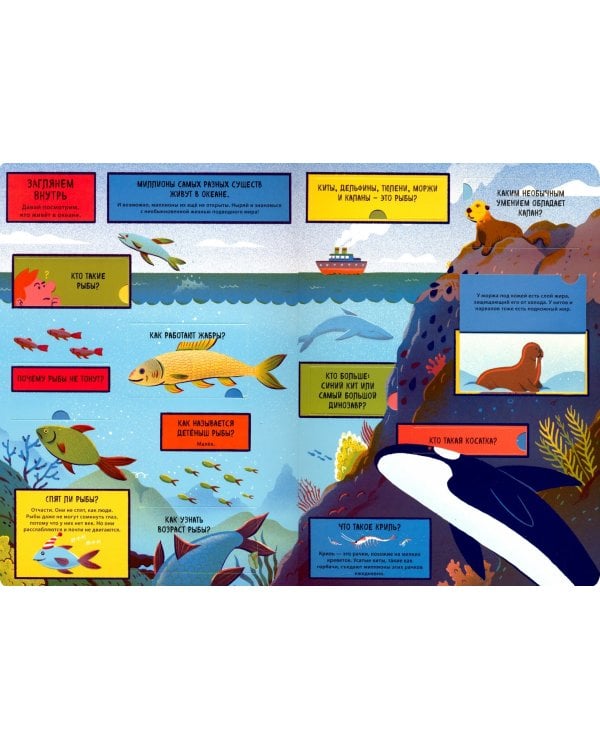Океан (с окошками)