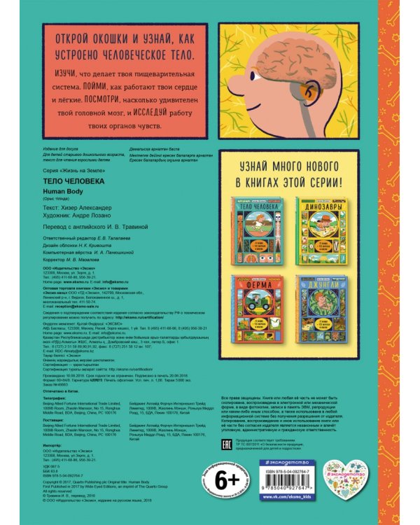 Тело человека (с окошками)