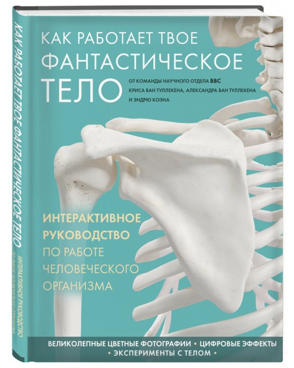 Как работает твое фантастическое тело