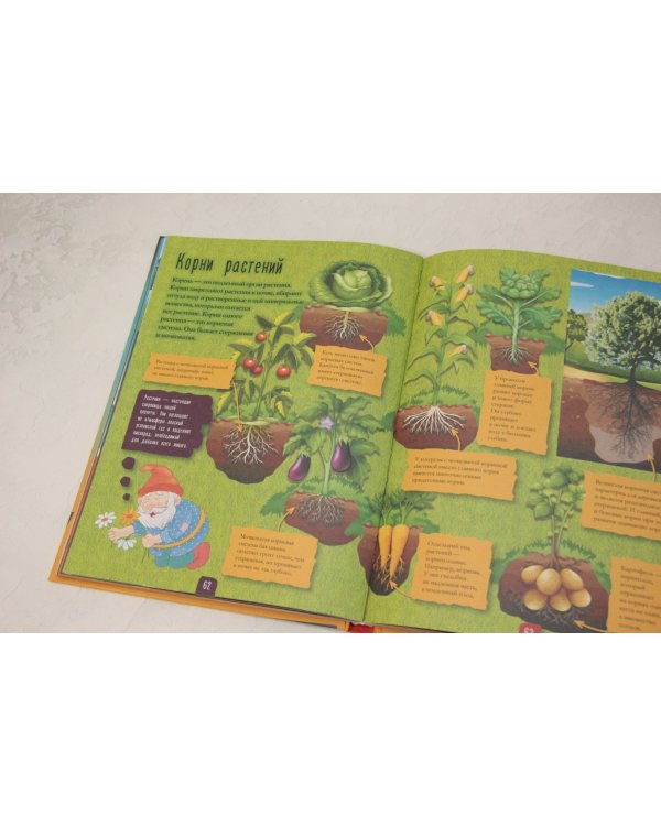 Всё о том, что под землей