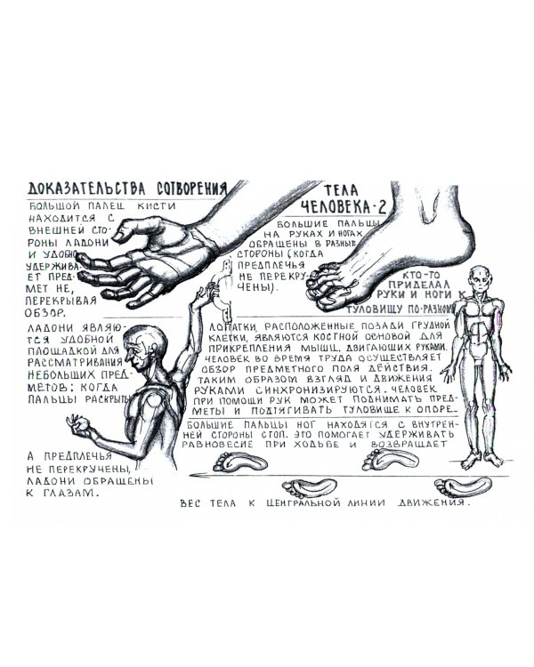 Сотворенный человек и зверолюди прошлого