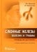 Слюнные железы. Болезни и травмы. Руководство для врачей
