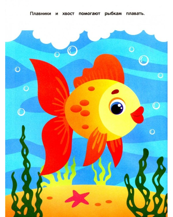 Море. Книжка с наклейками