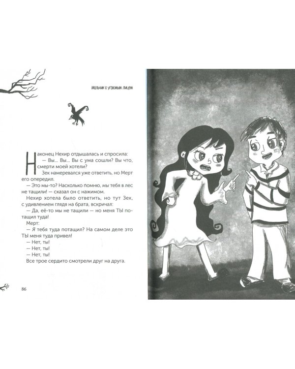 Мальчик с угрюмым лицом, или Необычайная лесная история