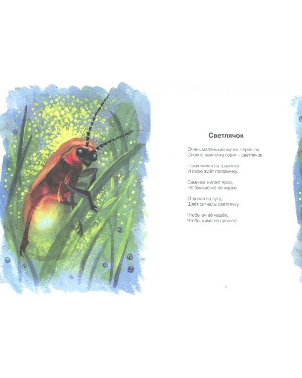 На лесной тропинке