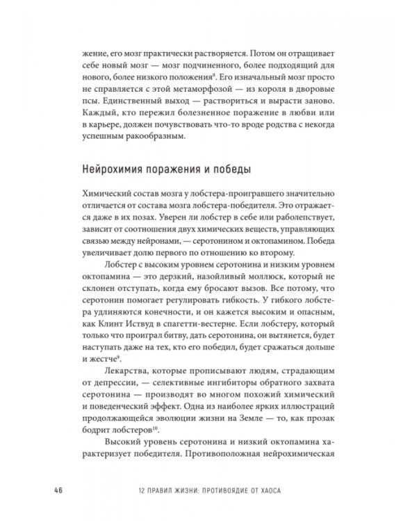 12 правил жизни. Противоядие от хаоса