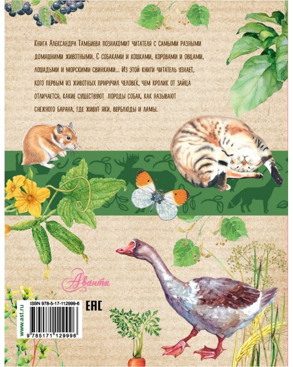 Домашние животные