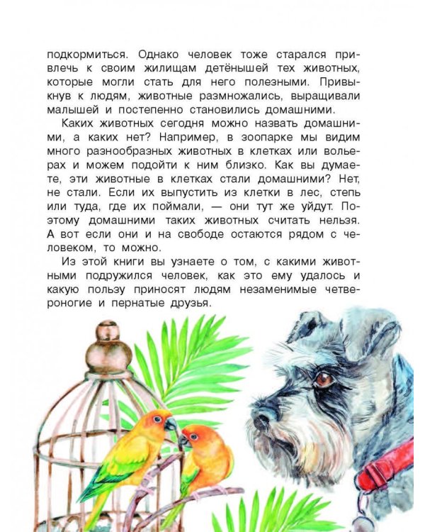 Домашние животные