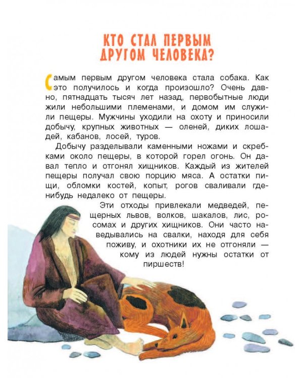 Домашние животные