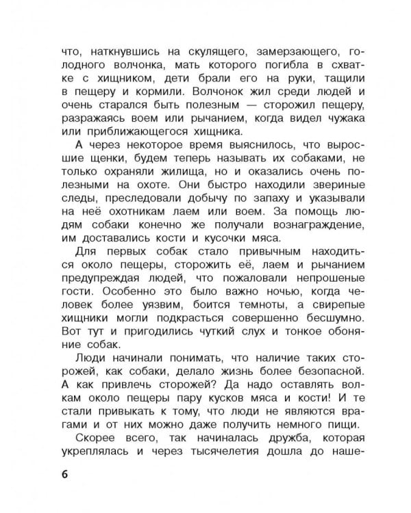 Домашние животные