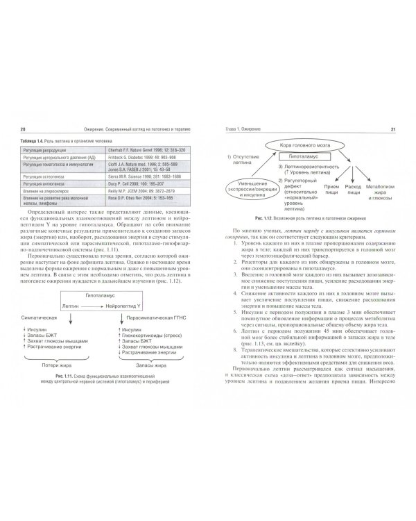 Ожирение. Современный взгляд на патогенез и терапию. Том 1