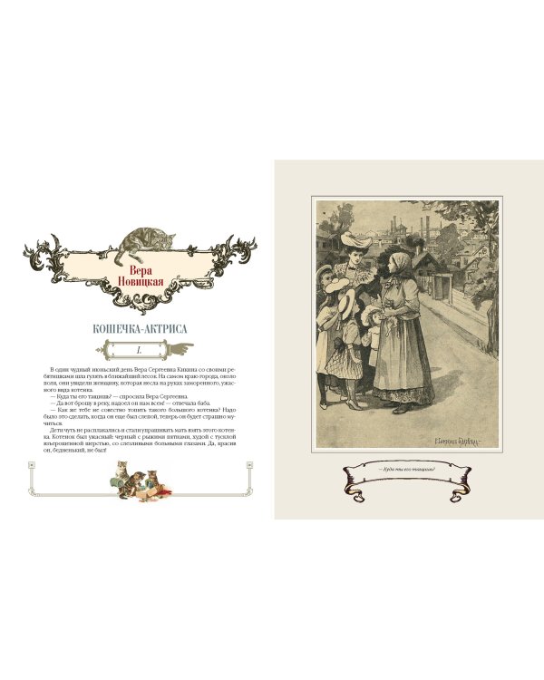 Пушистые истории о котах и кошках