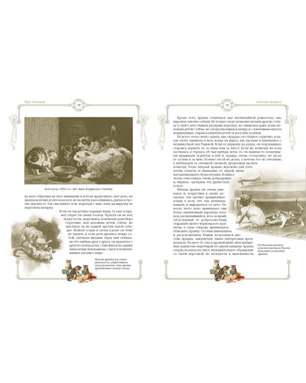 Пушистые истории о котах и кошках