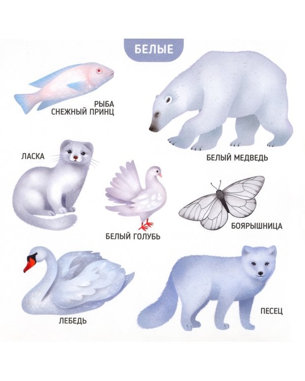 Кто какого цвета? Энциклопедия для малышей