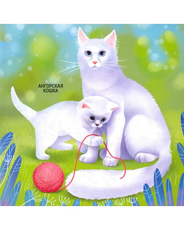 Кто какого цвета? Энциклопедия для малышей