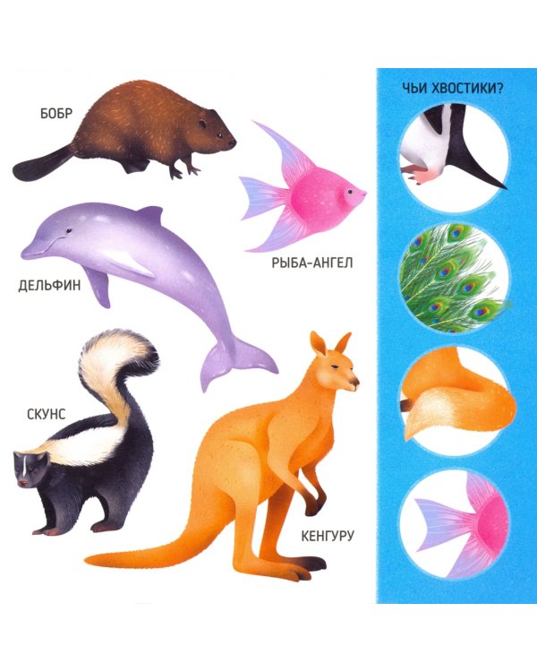 У кого какой хвост? Энциклопедия для малышей