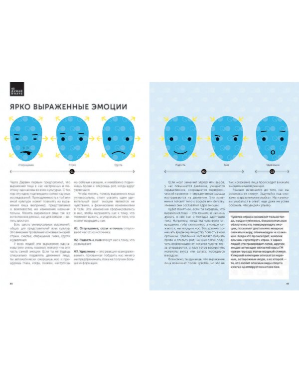 Коммуникации. Научись понимать других и общайся продуктивно