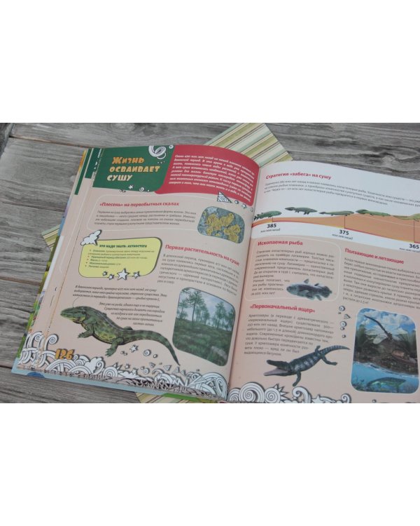 Большая энциклопедия знаний для девочек