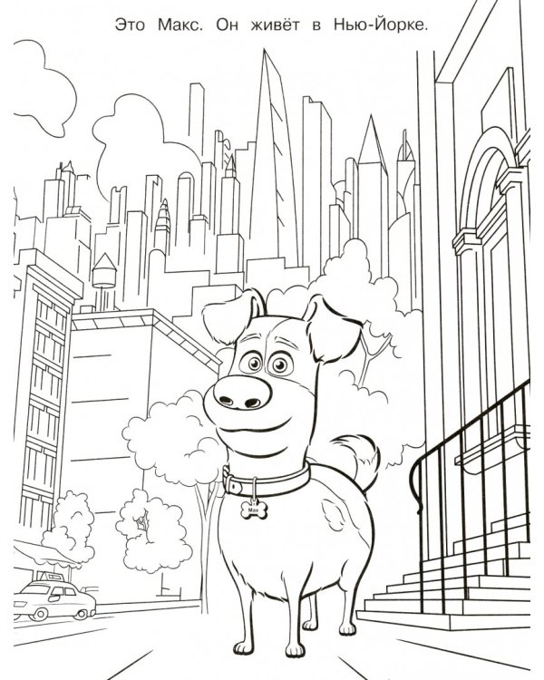 Тайная жизнь домашних животных 2. Раскраска (Снежок) + наклейки