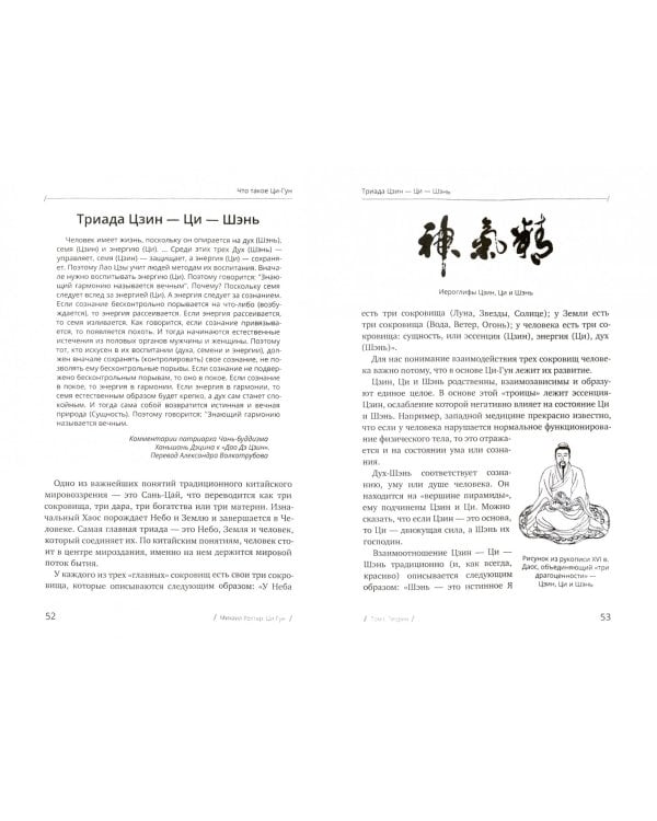 Цигун. Покой в движении и движение в покое. В 3-х томах. Том 1. Теория