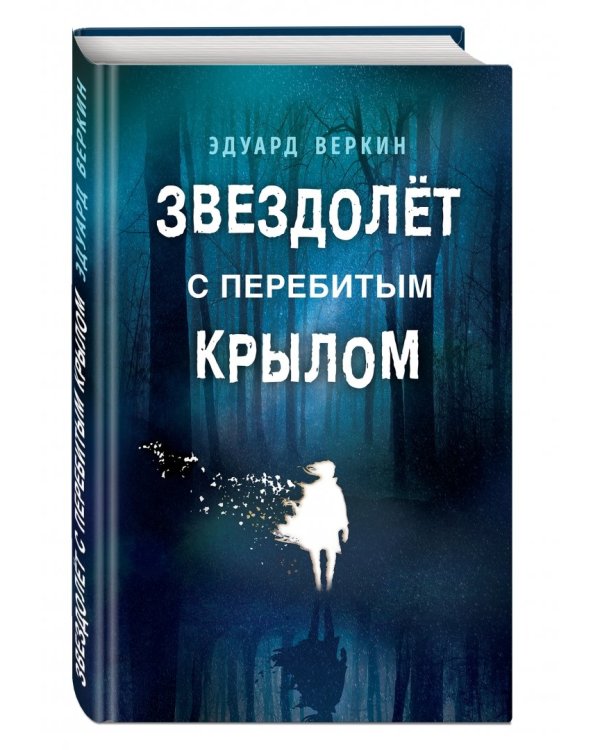 Звездолёт с перебитым крылом