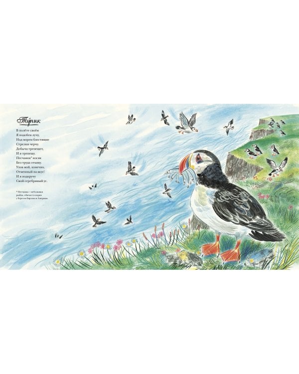 Красивая книга о море