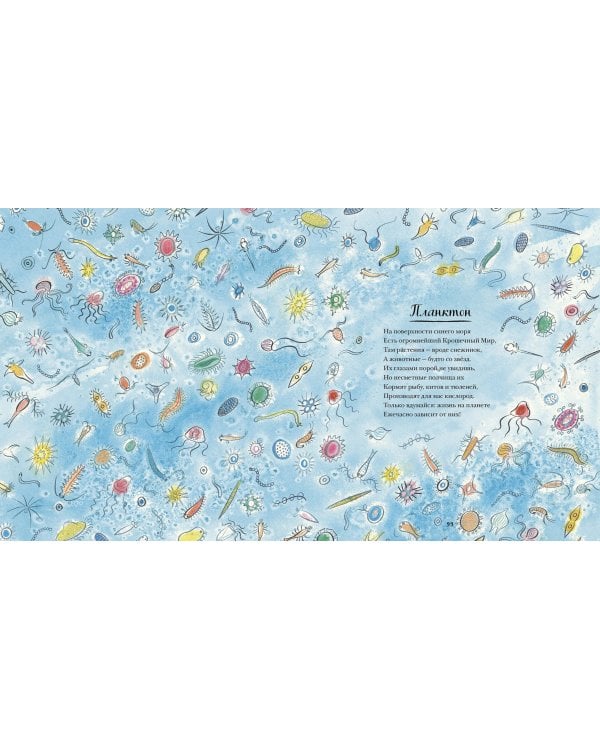 Красивая книга о море