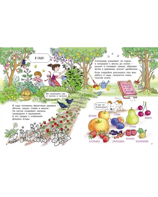 Суета вокруг пирога. Где мы были? Что узнали?