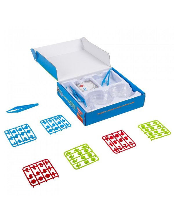 Обучающая игра. Веселая микробиология