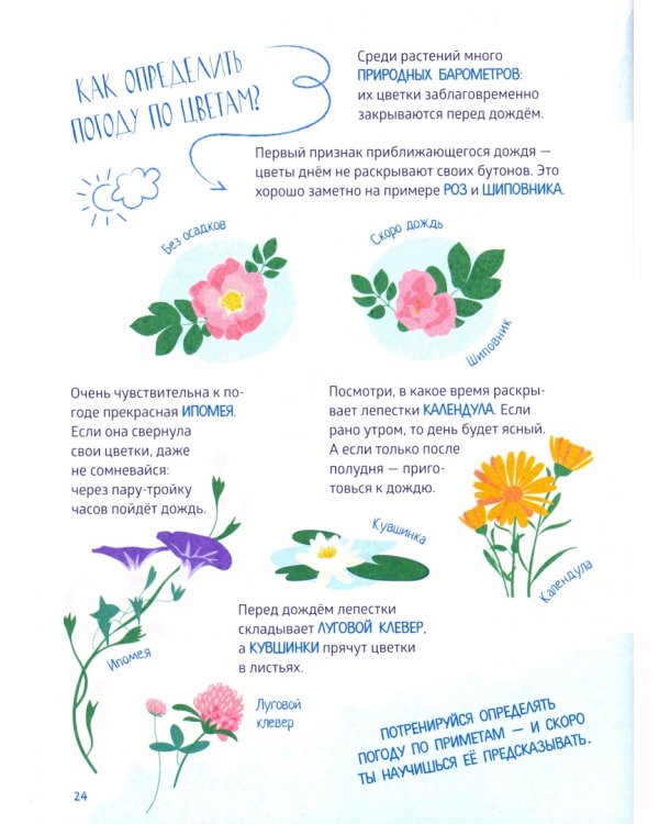 Как хорошо провести время на природе