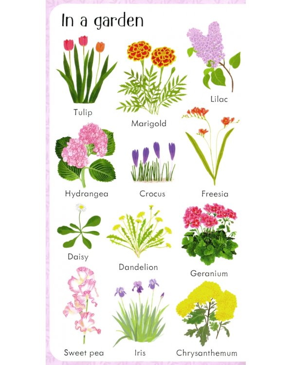 199 Flowers (Pictures)