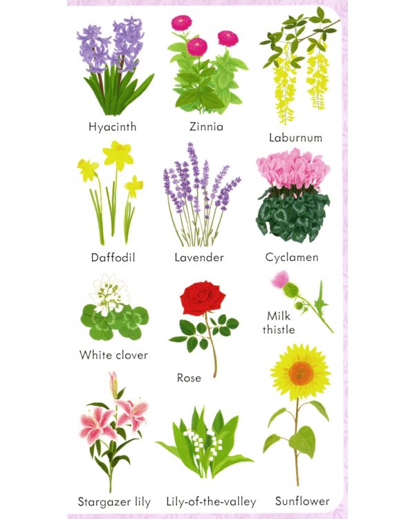 199 Flowers (Pictures)